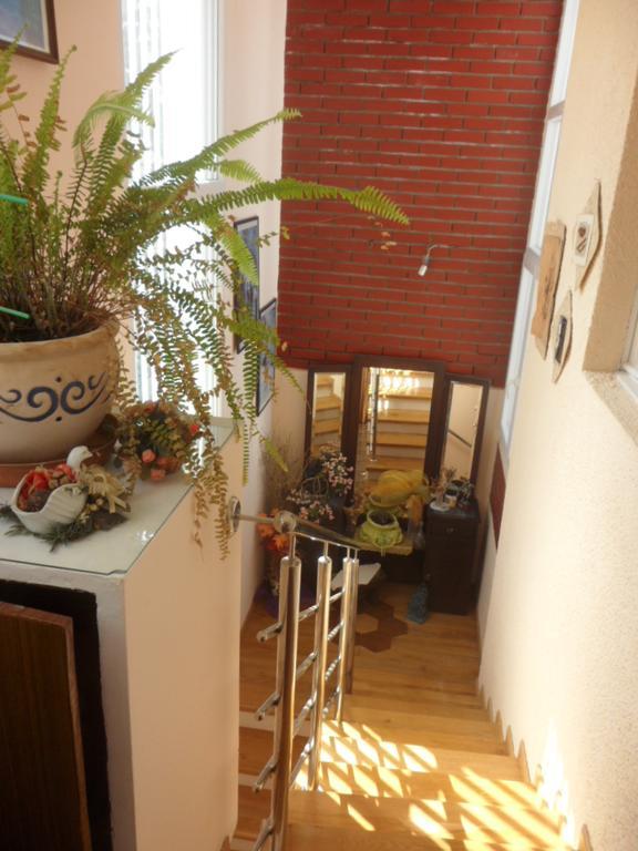 Apartments Ema 希贝尼克 外观 照片